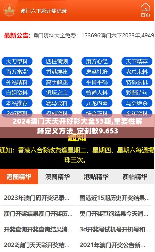 2024澳门天天开好彩大全53期,重要性解释定义方法_定制款9.653