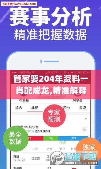 管家婆204年资料一肖配成龙,精准解释解答落实_TX版9.325