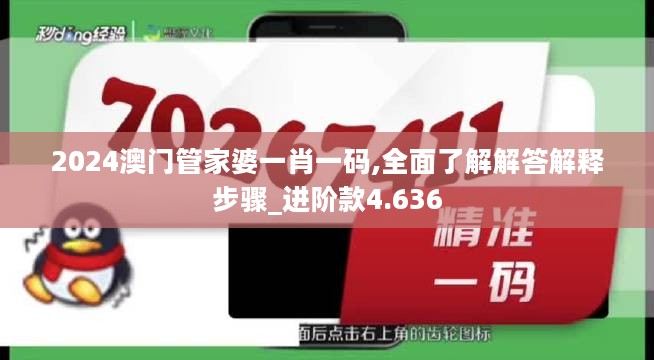 2024澳门管家婆一肖一码,全面了解解答解释步骤_进阶款4.636