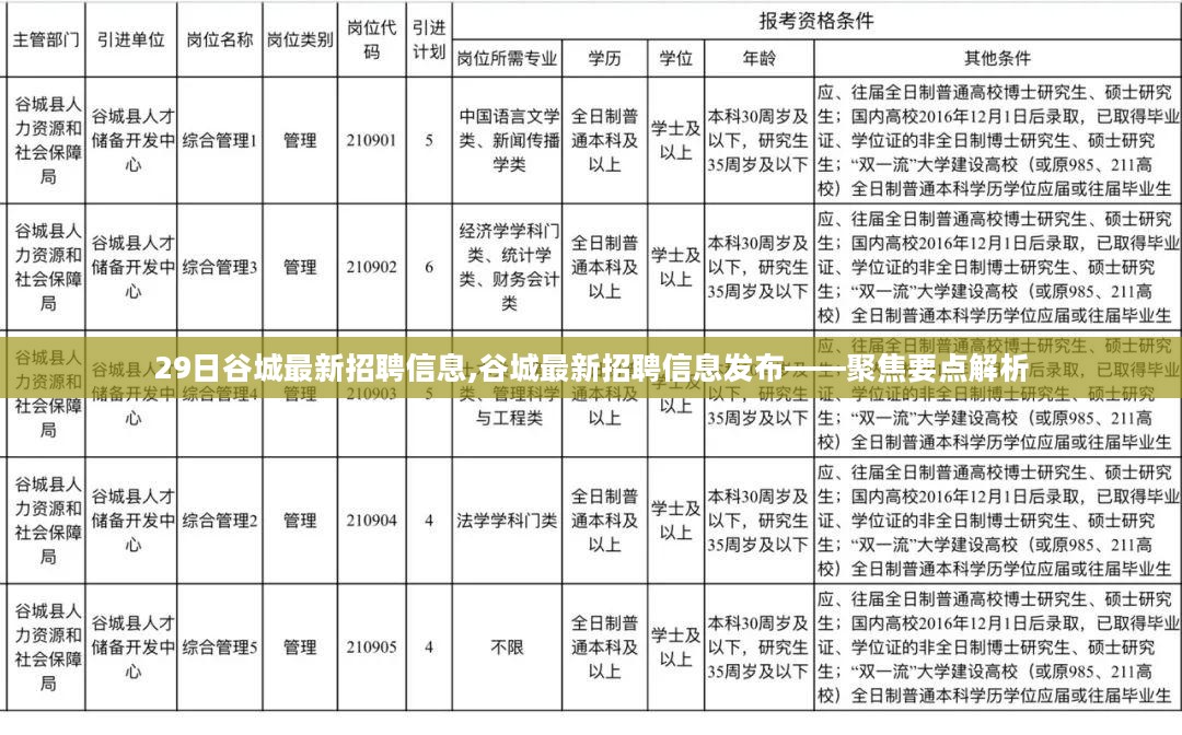 谷城最新招聘信息发布，聚焦要点解析与求职指南