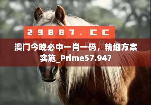 澳门今晚必中一肖一码，精细方案实施_Prime57.947