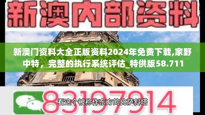 新澳门资料大全正版资料2024年免费下载,家野中特，完整的执行系统评估_特供版58.711