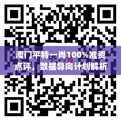 澳门平特一肖100%准资点评，数据导向计划解析_Prime63.303