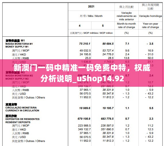 新澳门一码中精准一码免费中特，权威分析说明_uShop14.92