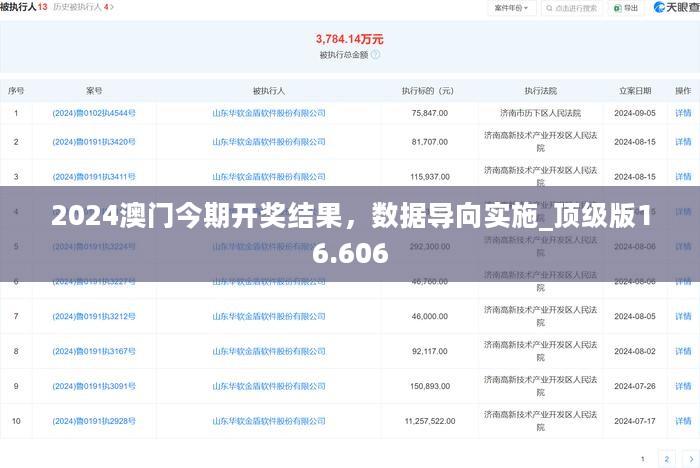 2024澳门今期开奖结果，数据导向实施_顶级版16.606