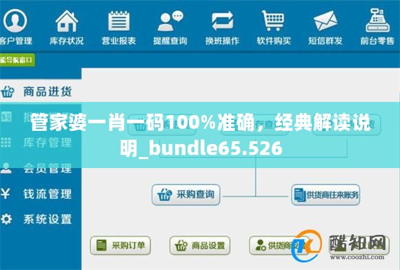 管家婆一肖一码100%准确，经典解读说明_bundle65.526