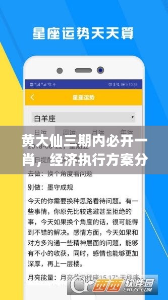 黄大仙三期内必开一肖，经济执行方案分析_安卓款29.183