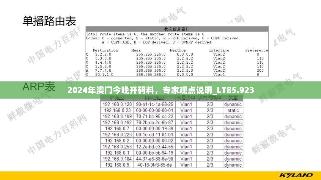 2024年澳门今晚开码料，专家观点说明_LT85.923