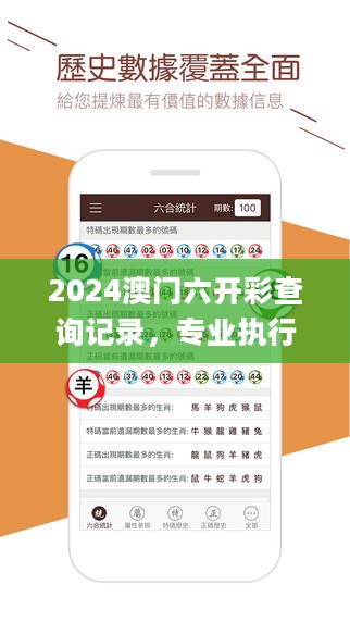 2024澳门六开彩查询记录，专业执行方案_开发版25.651