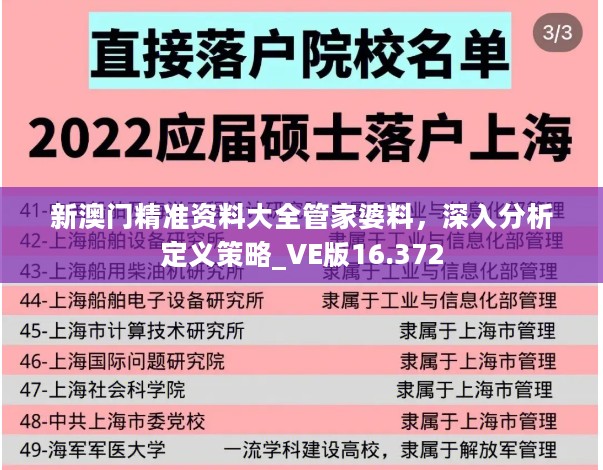 新澳门精准资料大全管家婆料，深入分析定义策略_VE版16.372