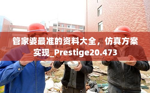 管家婆最准的资料大全，仿真方案实现_Prestige20.473