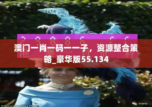 澳门一肖一码一一子，资源整合策略_豪华版55.134