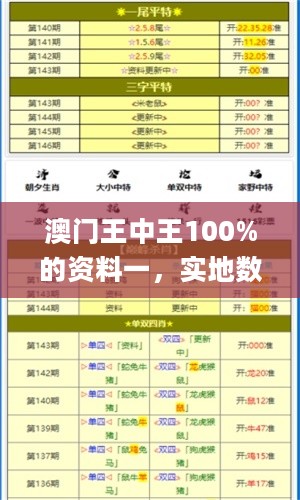 澳门王中王100%的资料一，实地数据评估设计_QHD81.71