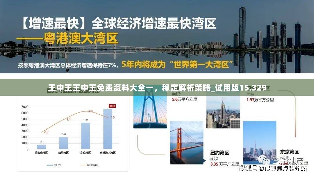 王中王王中王免费资料大全一，稳定解析策略_试用版15.329