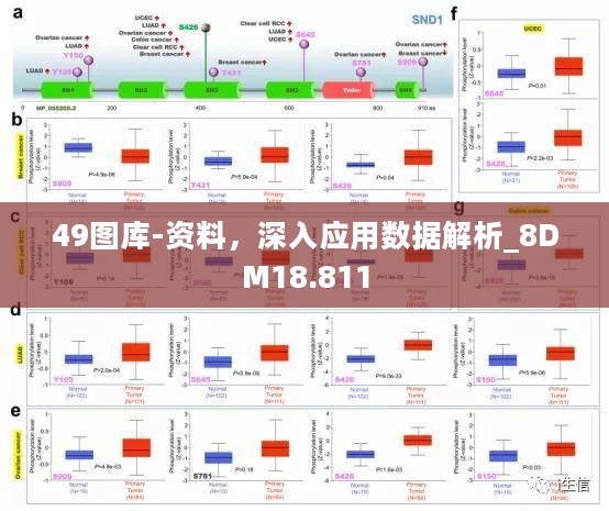 49图库-资料，深入应用数据解析_8DM18.811