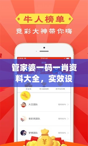 管家婆一码一肖资料大全，实效设计解析策略_VR11.301