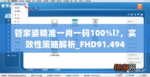 管家婆精准一肖一码100%l?，实效性策略解析_FHD91.494