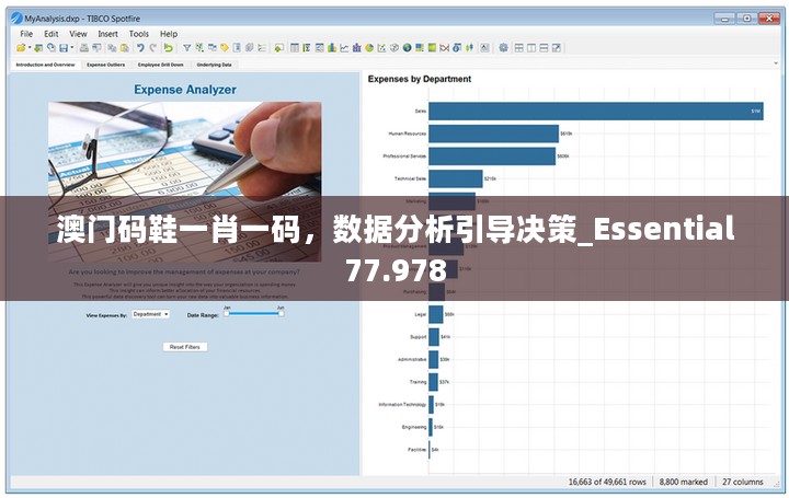 澳门码鞋一肖一码，数据分析引导决策_Essential77.978