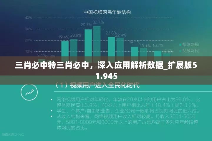 三肖必中特三肖必中，深入应用解析数据_扩展版51.945