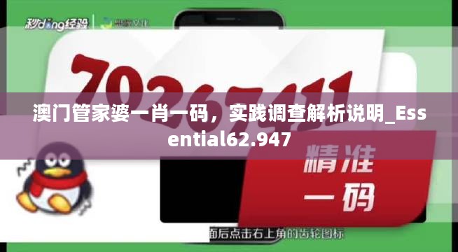 澳门管家婆一肖一码，实践调查解析说明_Essential62.947