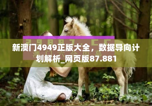 新澳门4949正版大全，数据导向计划解析_网页版87.881