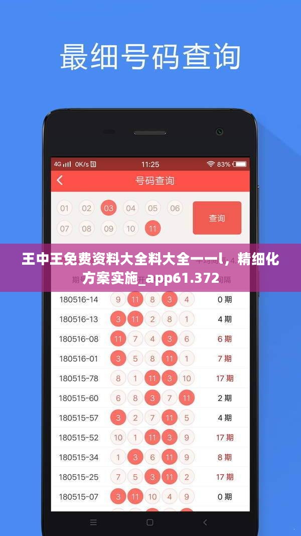 王中王免费资料大全料大全一一l，精细化方案实施_app61.372