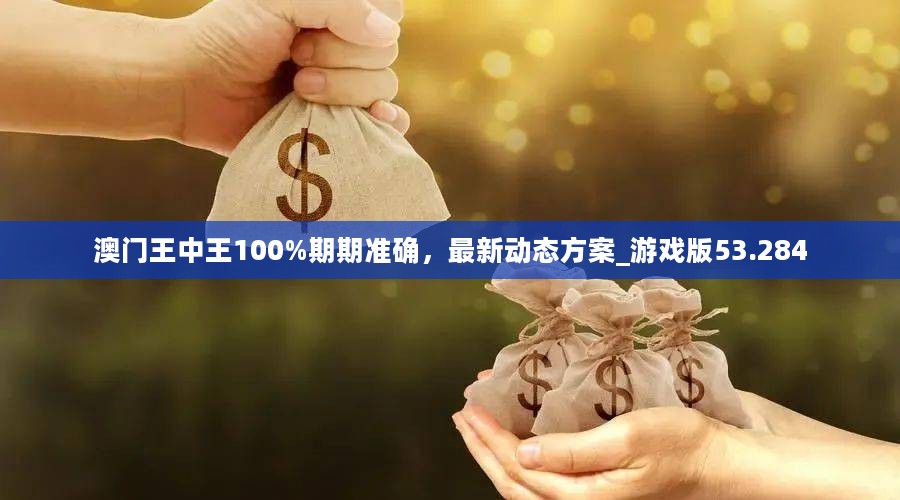 澳门王中王100%期期准确，最新动态方案_游戏版53.284