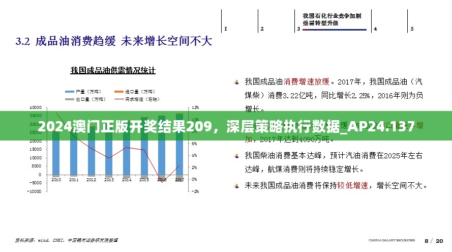 2024澳门正版开奖结果209，深层策略执行数据_AP24.137