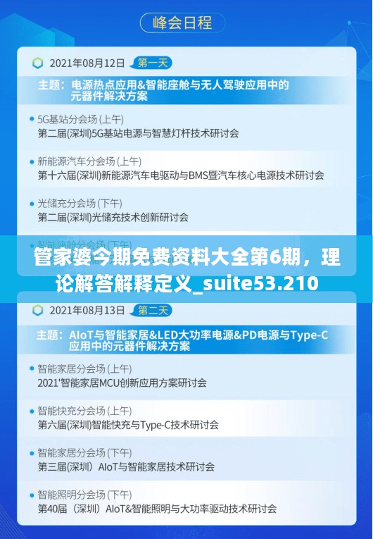 管家婆今期免费资料大全第6期，理论解答解释定义_suite53.210