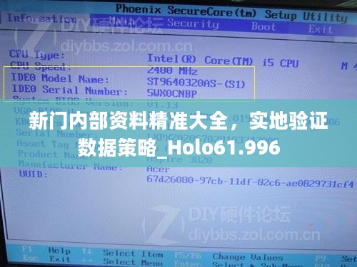 新门内部资料精准大全，实地验证数据策略_Holo61.996