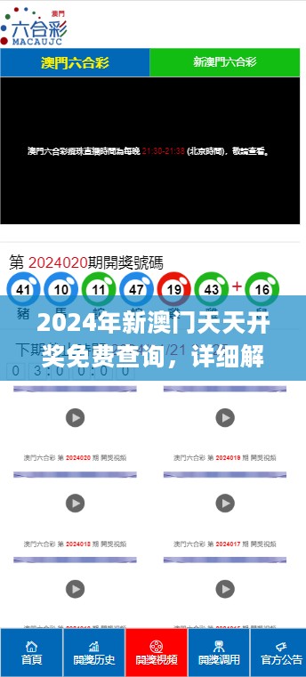 2024年新澳门天天开奖免费查询，详细解答解释定义_SHD24.693