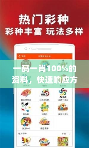 一码一肖100%的资料，快速响应方案落实_精装款80.147