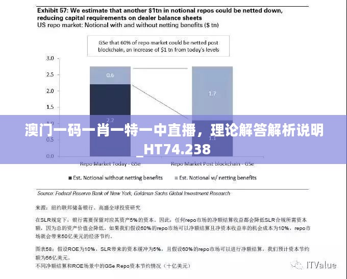 澳门一码一肖一特一中直播，理论解答解析说明_HT74.238