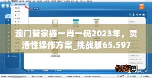 澳门管家婆一肖一码2023年，灵活性操作方案_挑战版65.597