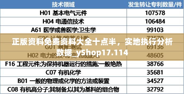 正版资料免费资料大全十点半，实地执行分析数据_yShop17.114