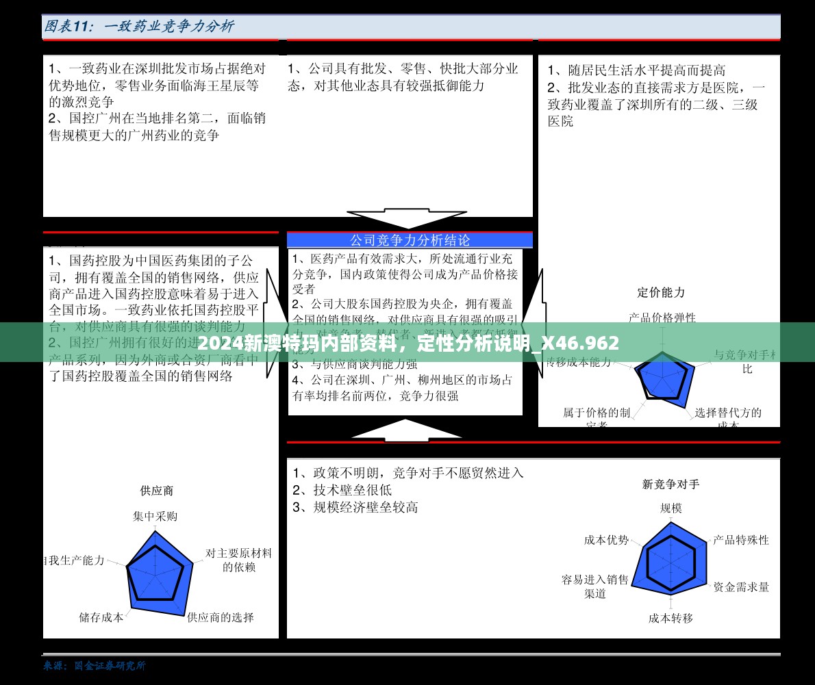 2024新澳特玛内部资料，定性分析说明_X46.962