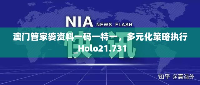 澳门管家婆资料一码一特一，多元化策略执行_Holo21.731