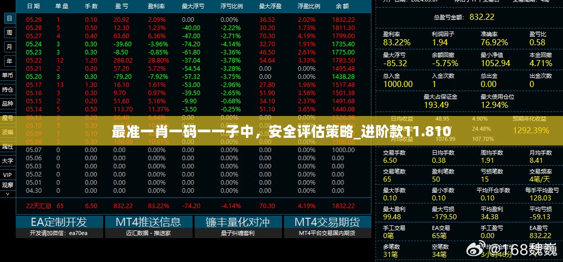 最准一肖一码一一子中，安全评估策略_进阶款11.810