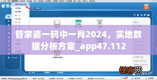 管家婆一码中一肖2024，实地数据分析方案_app47.112