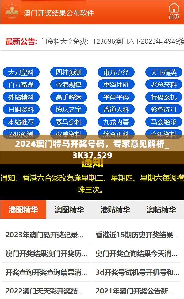 2024澳门特马开奖号码，专家意见解析_3K37.529