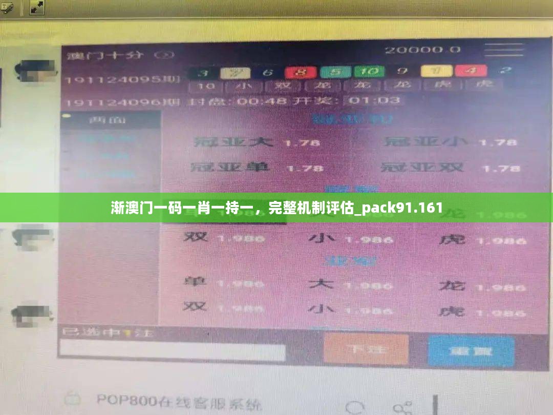 渐澳门一码一肖一持一，完整机制评估_pack91.161