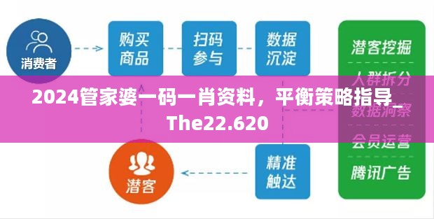 2024管家婆一码一肖资料，平衡策略指导_The22.620