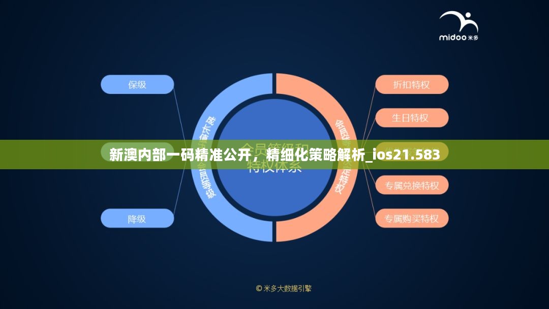 新澳内部一码精准公开，精细化策略解析_ios21.583