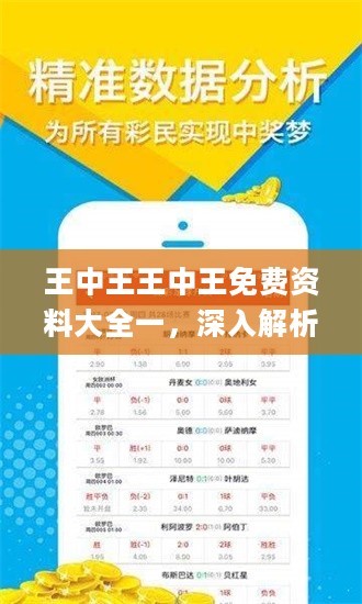 王中王王中王免费资料大全一，深入解析设计数据_专业版78.934