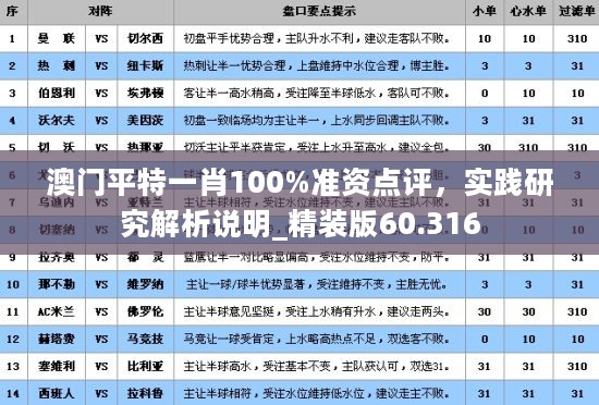 澳门平特一肖100%准资点评，实践研究解析说明_精装版60.316