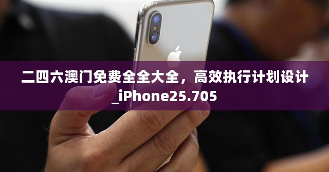 二四六澳门免费全全大全，高效执行计划设计_iPhone25.705