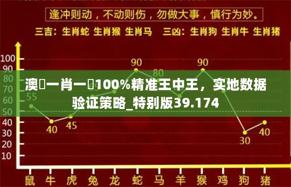 澳門一肖一碼100%精准王中王，实地数据验证策略_特别版39.174