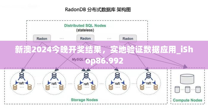 新澳2024今晚开奖结果，实地验证数据应用_iShop86.992