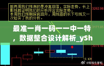 最准一肖一码一一中一特，数据整合设计解析_yShop72.507