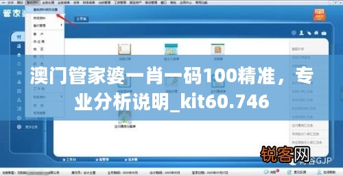 澳门管家婆一肖一码100精准，专业分析说明_kit60.746